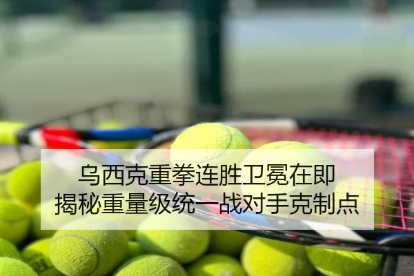 乌西克重拳连胜卫冕在即 揭秘重量级统一战对手克制点